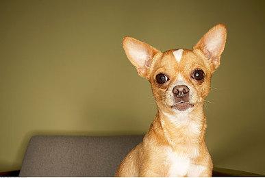 华纳兄弟游戏似乎准备在2025年推出一款新IP游戏